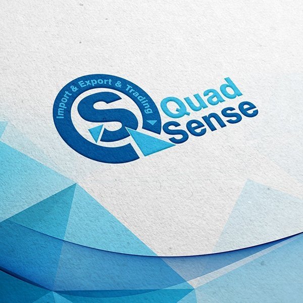 Quad Sense Logo & ID